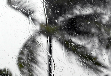 Eta Dumps Blustery Rain On Florida West Coast